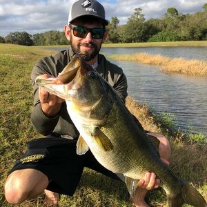 Meet your Posher, Collin